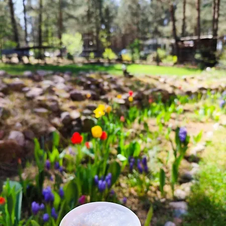 Сasa de vacaciones Fajno Konarzyny (Koscierzyna)