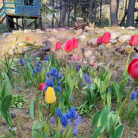 Сasa de vacaciones Fajno Konarzyny (Koscierzyna)