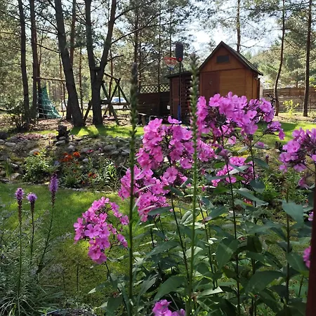 Fajno Сasa de vacaciones