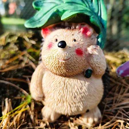 Fajno Chałupa Dom wakacyjny Konarzyny (Koscierzyna)