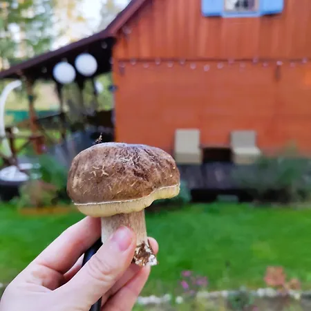 Fajno Chałupa *