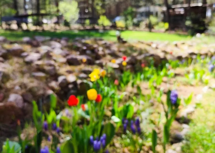 度假居 Fajno Konarzyny (Koscierzyna)