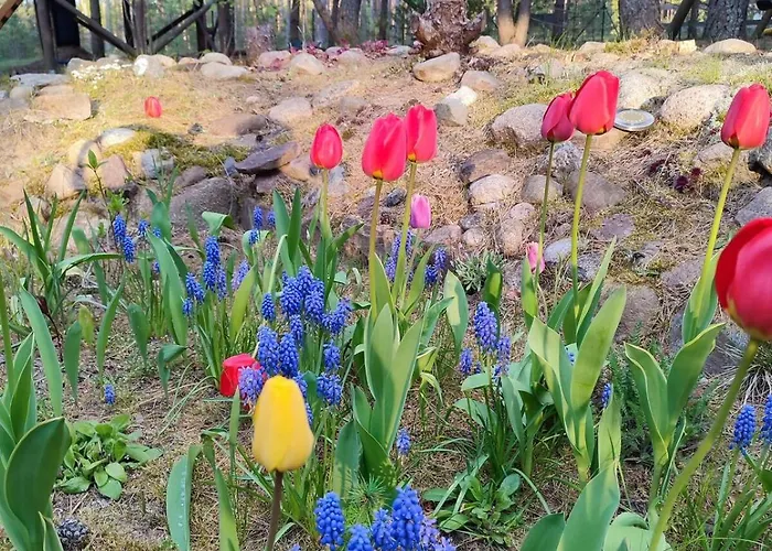 Dom wakacyjny Fajno Chałupa Konarzyny (Koscierzyna)