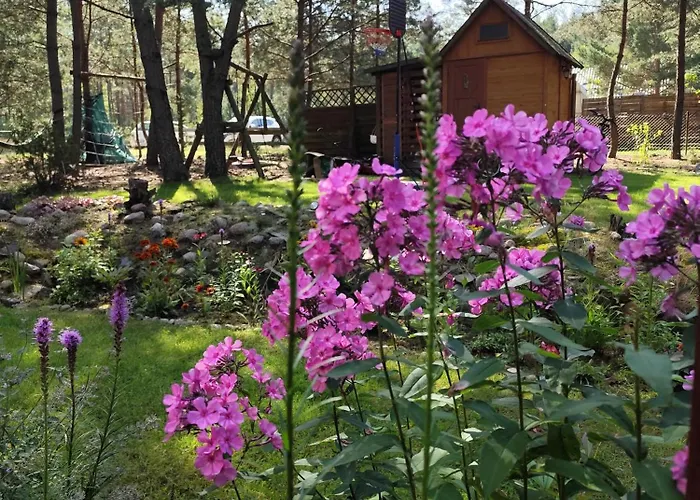 Fajno Chałupa Dom wakacyjny