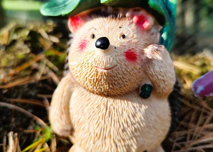 Fajno Chałupa Dom wakacyjny Konarzyny (Koscierzyna)